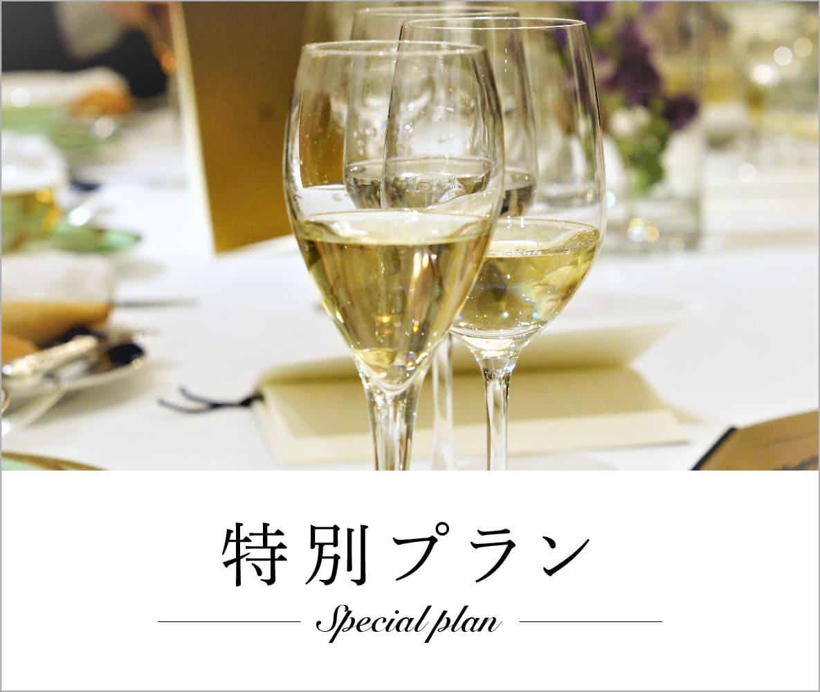 special_plan1